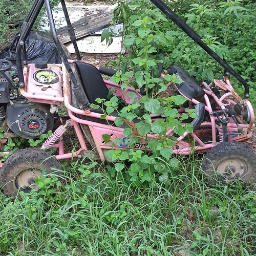 Hammerhead gts pink gas - hammerhead,